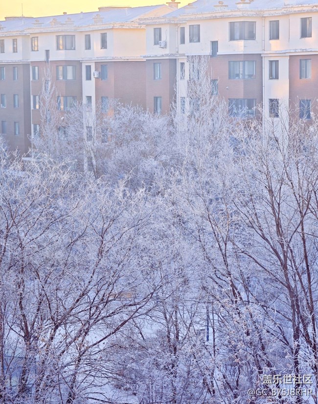 【銀裝視界】大雪