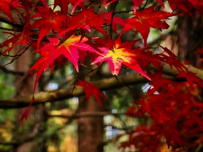 已開獎【攝影版塊十二月第三周】時光留痕