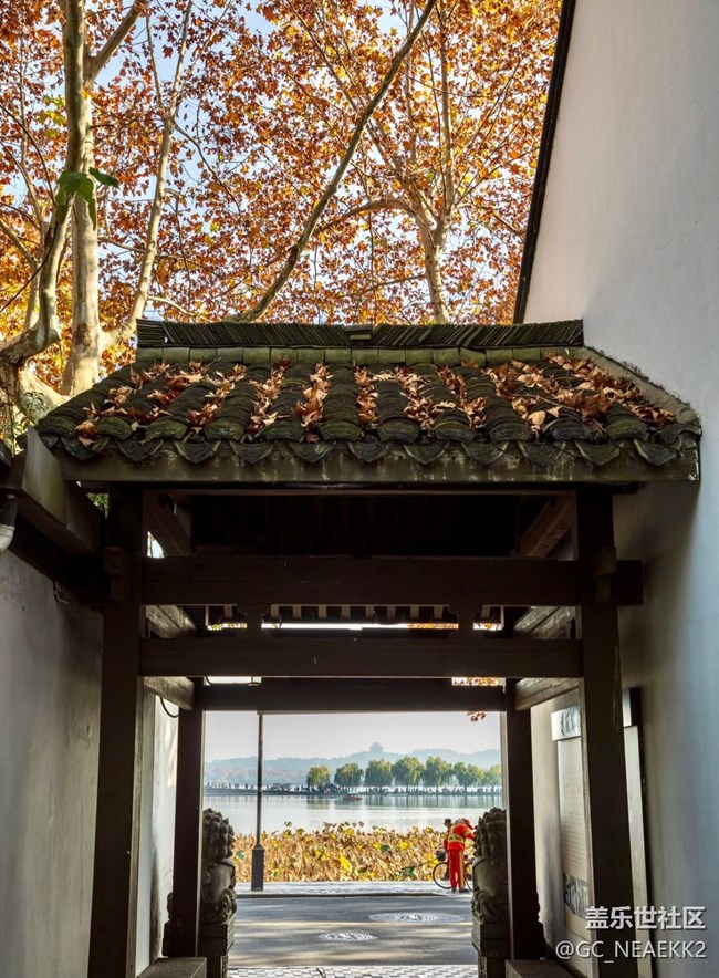 【街巷秋痕】秋意滿滿