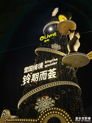 【順光逆光】+場景小拍