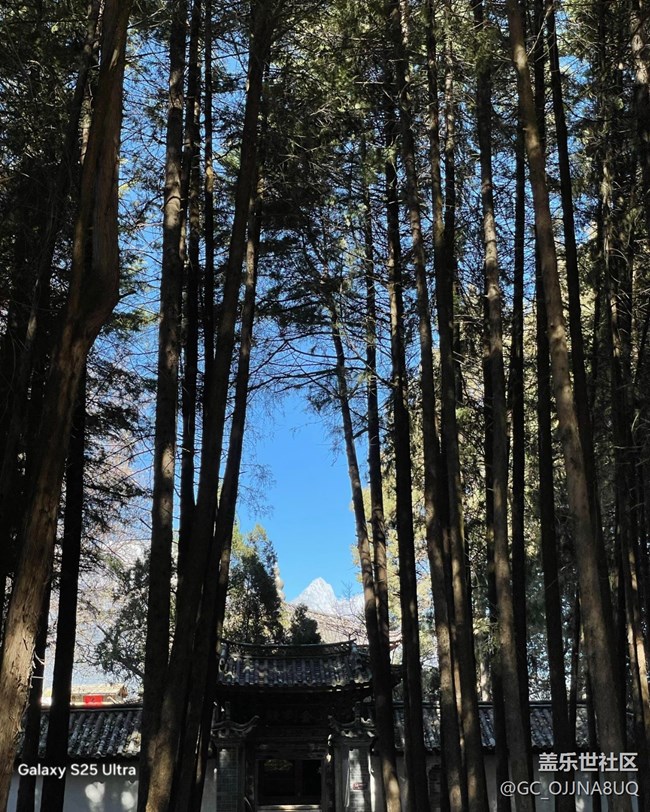 【三星視界】陽光正好