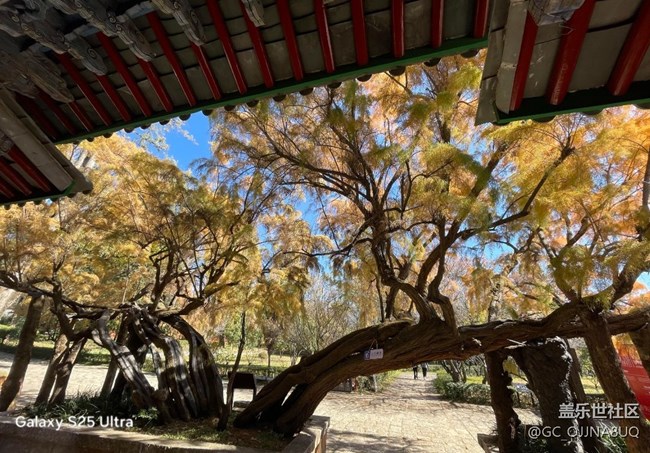 【三星視界】陽光正好