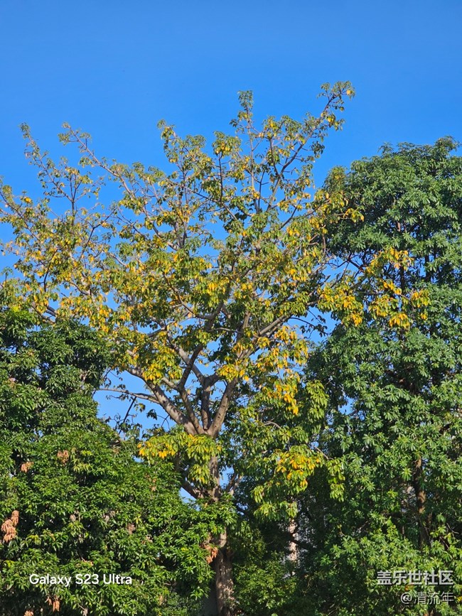 【三星視界】好天氣