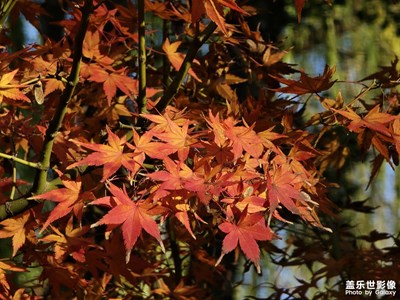 【順光逆光】+場(chǎng)景小拍