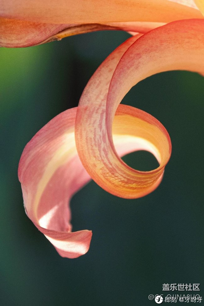 【秋末山景】秋意綴芳華