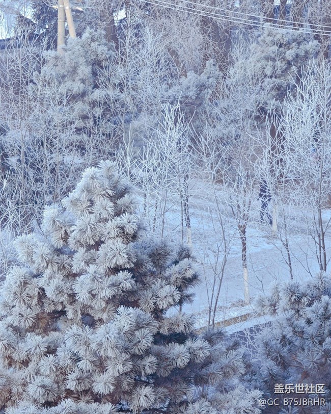 【銀裝視界】大雪