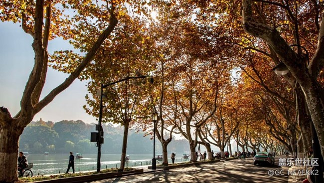 【街巷秋痕】秋意滿滿