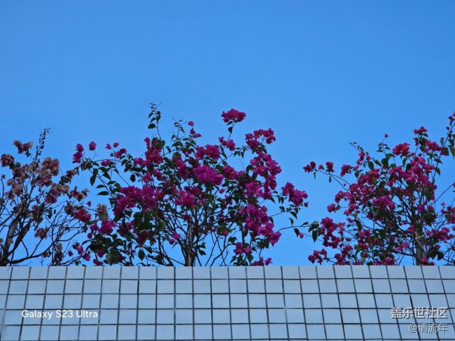 【三星視界】好天氣