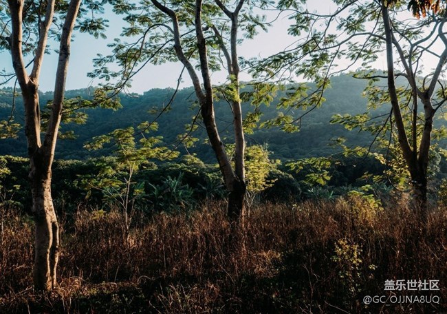 【秋末山景】秋意綴芳華