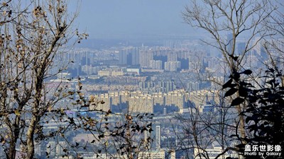 【順光逆光】+跟隨光線