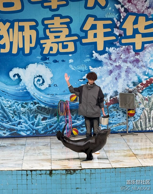 【地域拼圖】可愛的動物