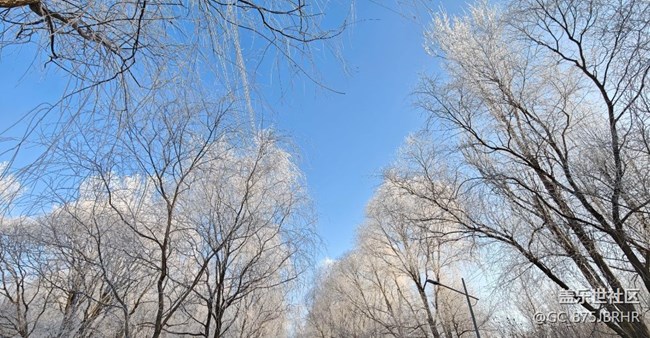【銀裝視界】大雪
