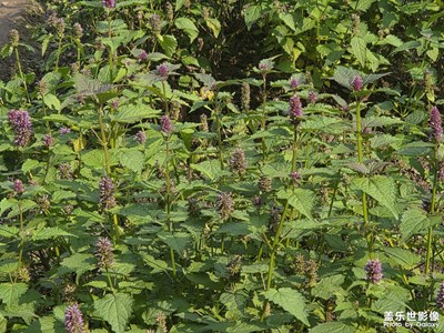 【順光逆光】秋冬的晴天