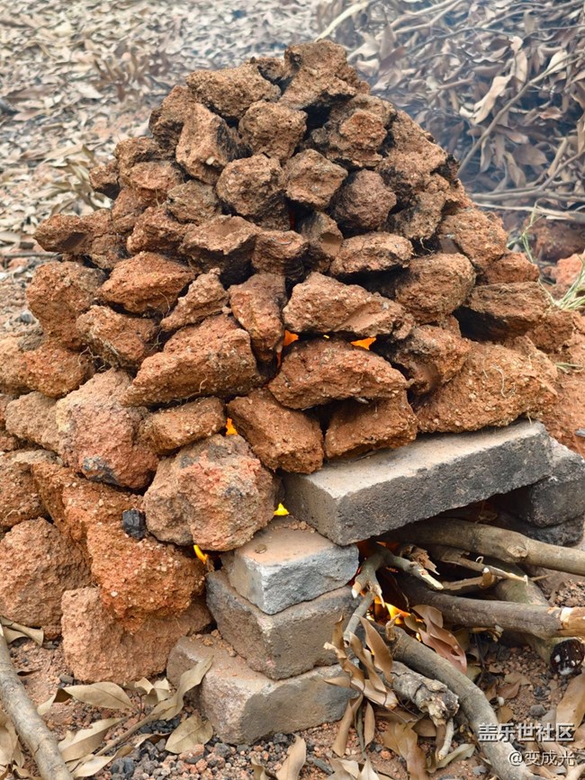 【活動回顧】+科技與煙火氣的雙重驚喜?