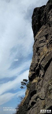 【順光逆光】山巒起伏，綠樹成蔭