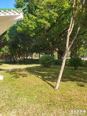 【順光逆光】公園日常