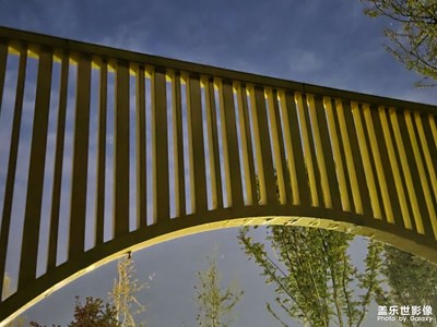 【順光逆光】綠意光影