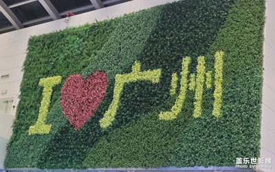 【順光逆光】+一路飛翔