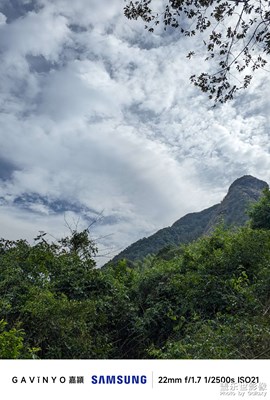 【順光逆光】大山徒步
