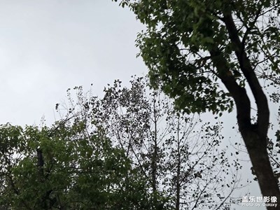 【順光逆光】越來(lái)越冷