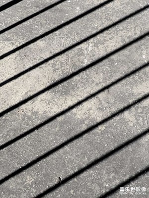 【順光逆光】光的陰影