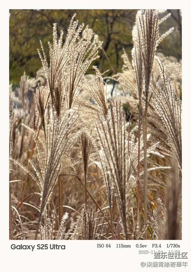 Galaxy S25 Ultra體驗全記錄 Galaxy S25 Ultra體驗全記錄