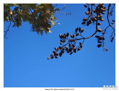 【順光逆光】+晦明相交