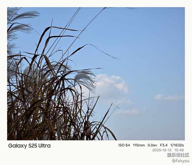 Galaxy S25 Ultra隨手拍