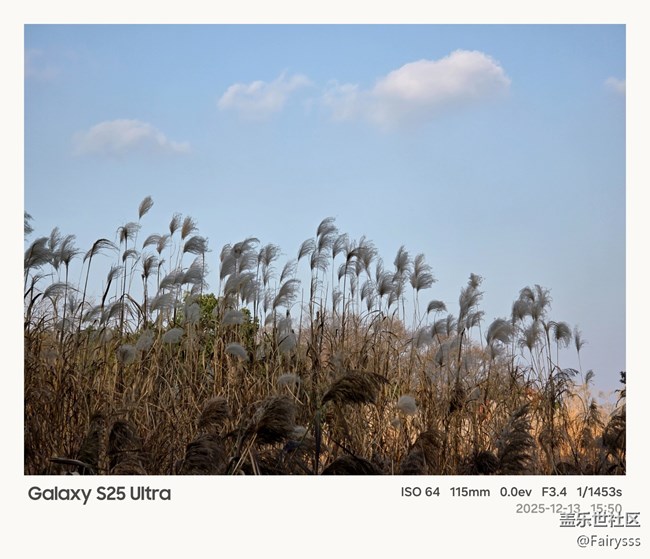 Galaxy S25 Ultra隨手拍