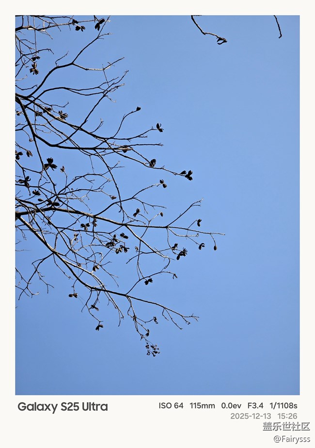 Galaxy S25 Ultra隨手拍