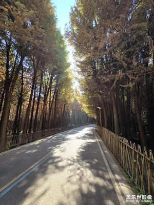 【時(shí)光留痕】+我的十二月