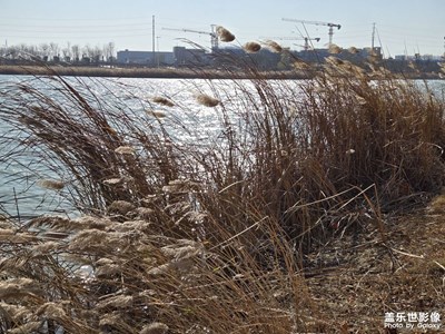 【時光留痕】+我的2025