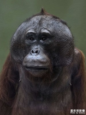 【時光留痕】+自然的魅力