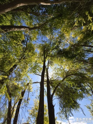 天氣好了出來溜達溜達拍拍照片也不挺錯