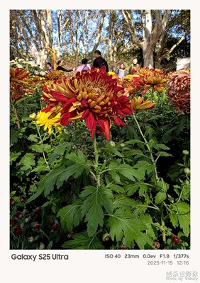 【時光留痕】+一年四季