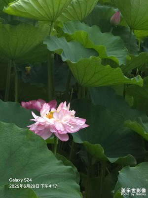 【時光留痕】+2025的春夏秋