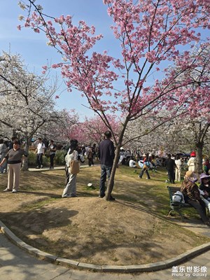 【時光留痕】+留戀2025