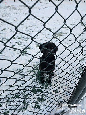 【時光留痕】+2025的四季