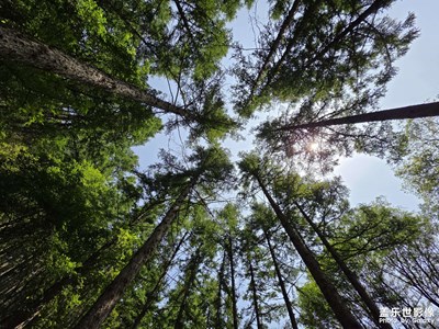 【時光留痕】+回憶2025