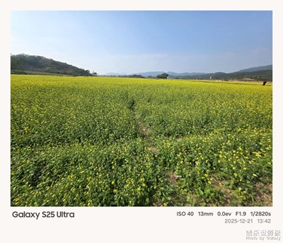 黃色的童話世界
每一朵小花都似微笑????