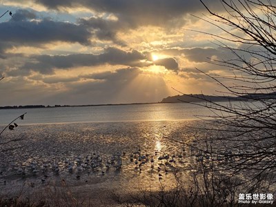 【歲月留痕】我的2025