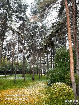 【時(shí)光留痕】+我的2025