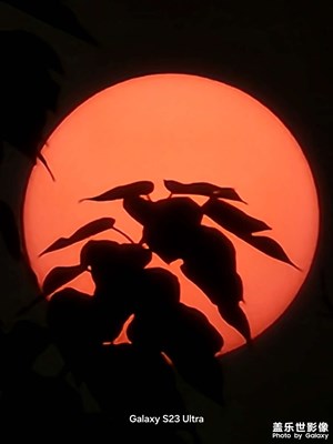 【時(shí)光留痕】25年好看照片