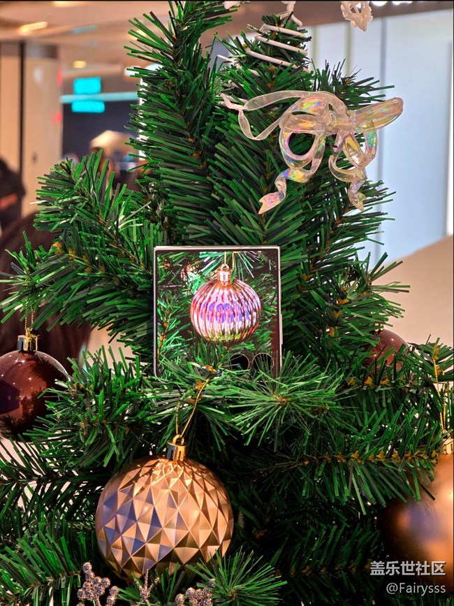 Galaxy Z Flip7在哪里？