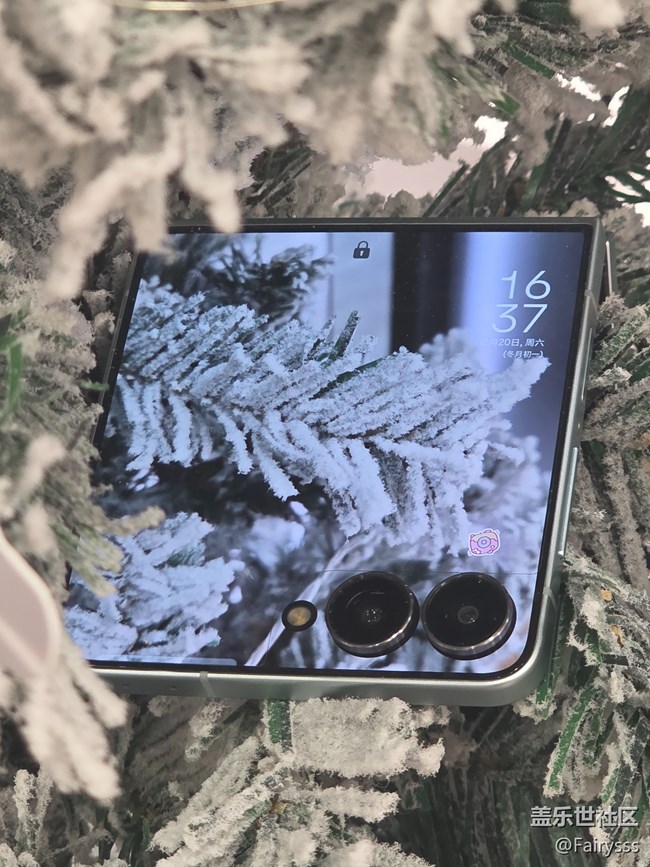 Galaxy Z Flip7在哪里？