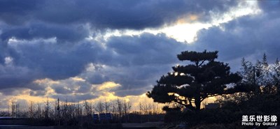 風(fēng)景在路上