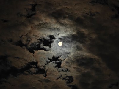 【時光留痕】2025的一些隨拍