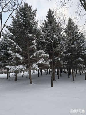 【時(shí)光留痕】+第一場(chǎng)大雪