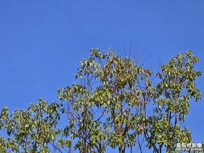 【時(shí)光留痕】時(shí)光匆匆