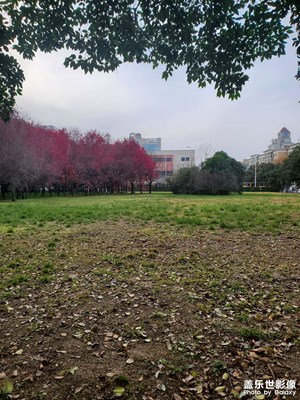 【時(shí)光留痕】冬日午后